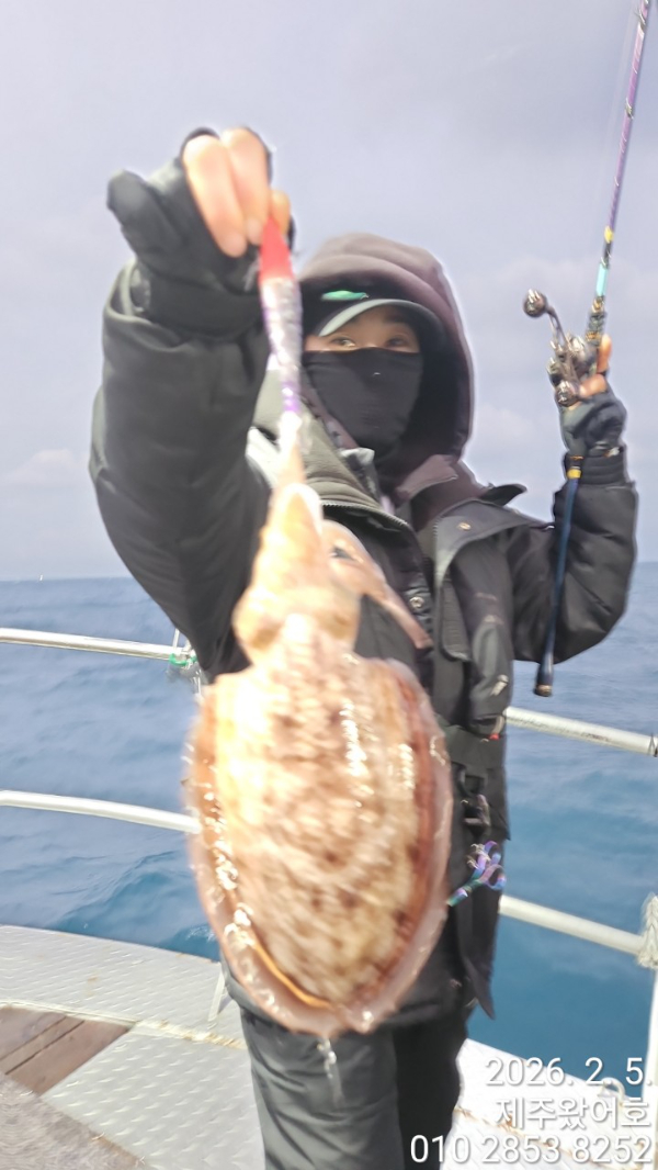 제주왔어호_사진_20260206_23.jpg