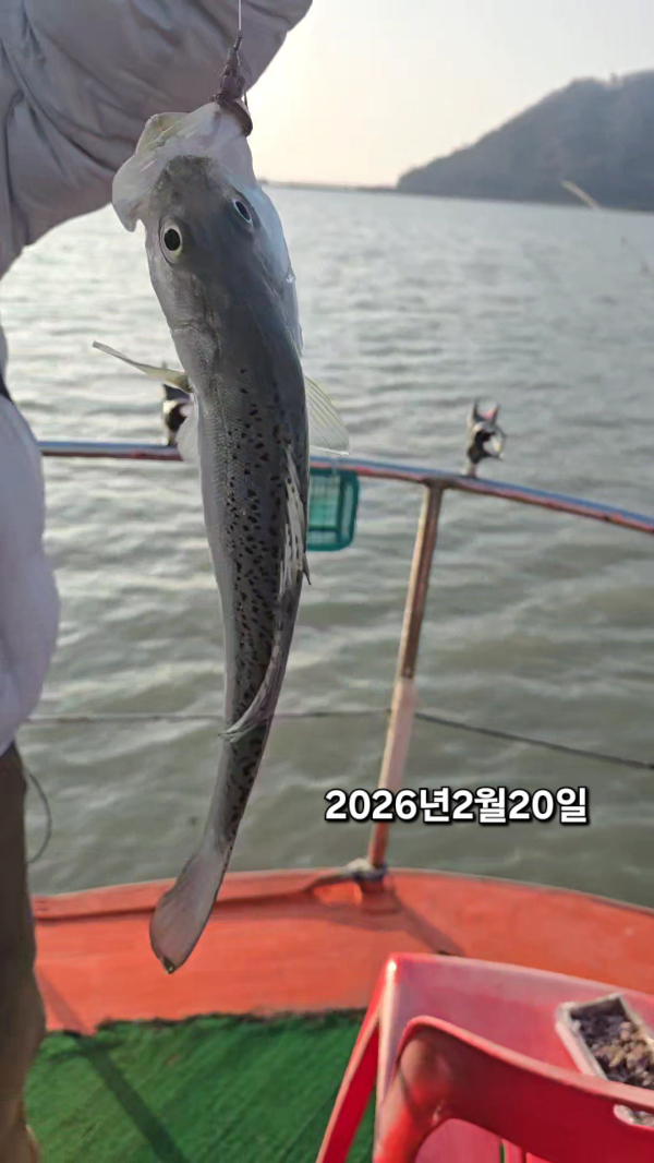 2026_02_20 09_40(5).jpg