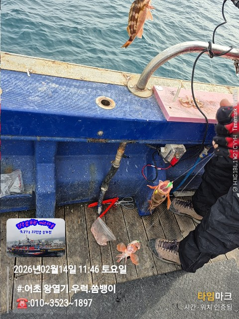 2026-02-14 11.46.27__(#-어초 왕열기.우럭.쏨뱅이)_(-010~3523~1897).jpg