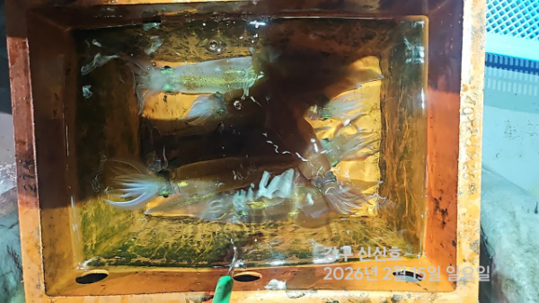 신신낚시 강구점 신신호_사진_20260216_19.jpg