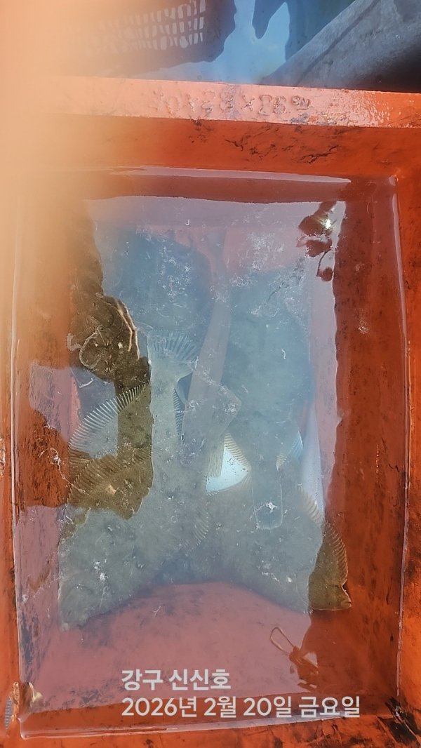신신낚시 강구점 신신호_사진_20260220_4.jpg