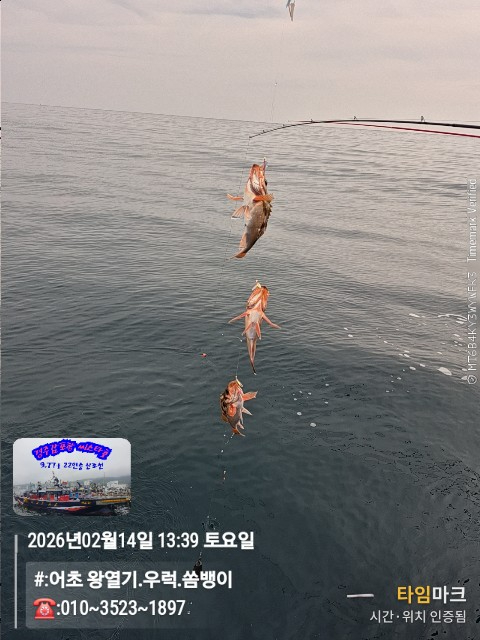 2026-02-14 13.39.52__(#-어초 왕열기.우럭.쏨뱅이)_(-010~3523~1897).jpg