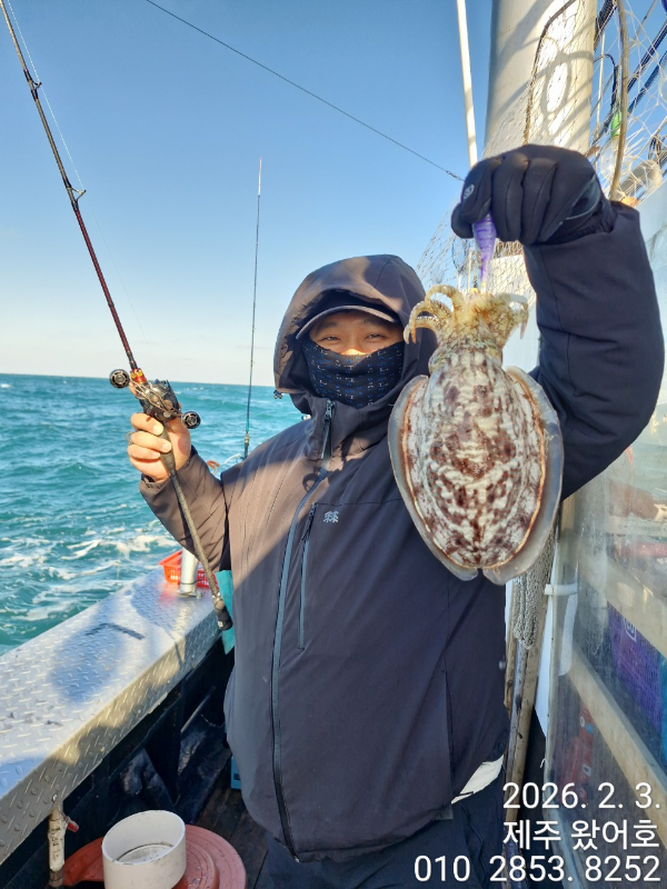 제주왔어호_사진_20260204_31.jpg