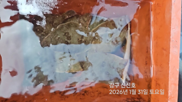 신신낚시 강구점 신신호_사진_20260131_4.jpg