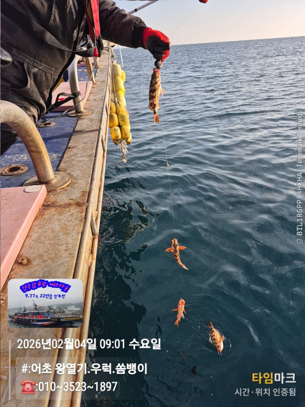 2026-02-04 09.01.37__(#-어초 왕열기.우럭.쏨뱅이)_(-010~3523~1897).jpg