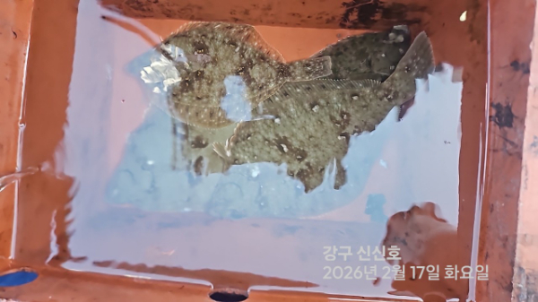 신신낚시 강구점 신신호_사진_20260217_16.jpg