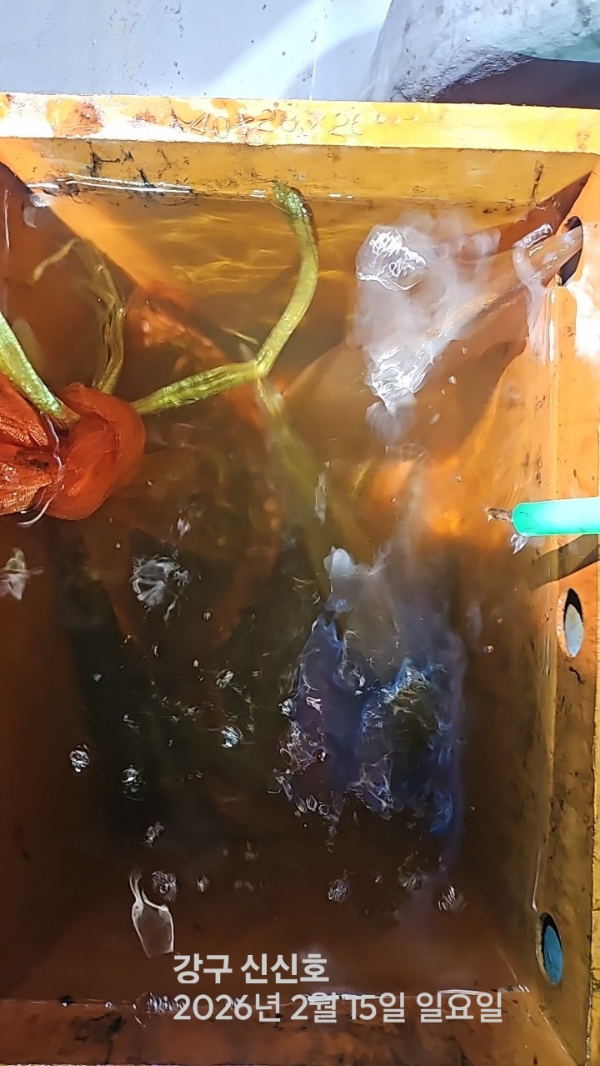 신신낚시 강구점 신신호_사진_20260216_15.jpg