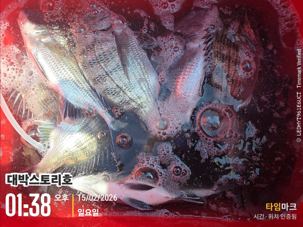 2026-02-15 01.38.49__(대박스토리호).jpg