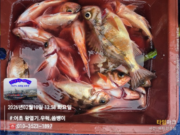 2026-02-10 13.58.10__(#-어초 왕열기.우럭.쏨뱅이)_(-010~3523~1897).jpg