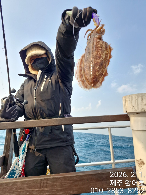 제주왔어호_사진_20260202_29.jpg
