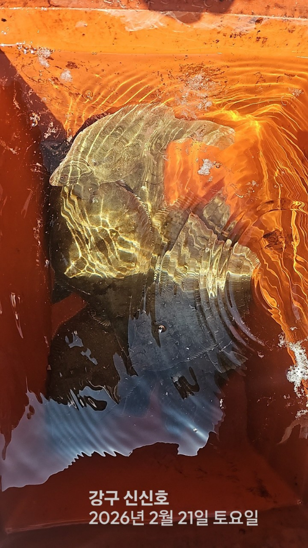 신신낚시 강구점 신신호_사진_20260221_15.jpg