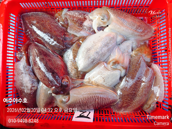 2026-02-20 04.32.04__(제목-여수야수호)_(-010-9498-8248).jpg