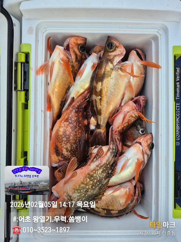 2026-02-05 14.17.02__(#-어초 왕열기.우럭.쏨뱅이)_(-010~3523~1897).jpg