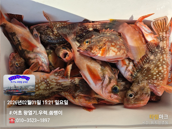 2026-02-01 15.21.51__(#-어초 왕열기.우럭.쏨뱅이)_(-010~3523~1897).jpg