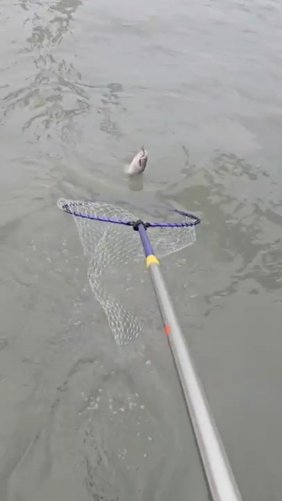 2026_02_01 12_30(1).jpg