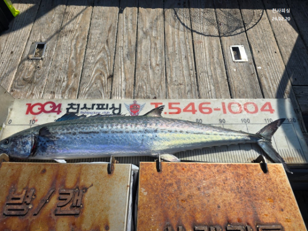 1004피싱_사진_20260220_2.jpg
