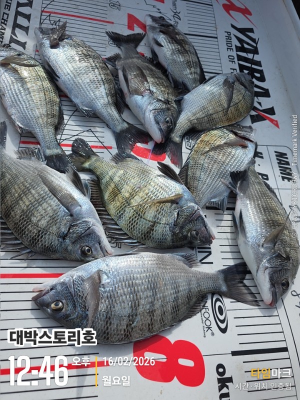 2026-02-16 12.46.53__(대박스토리호).jpg