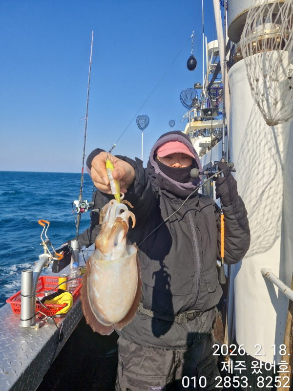 제주왔어호_사진_20260218_20.jpg