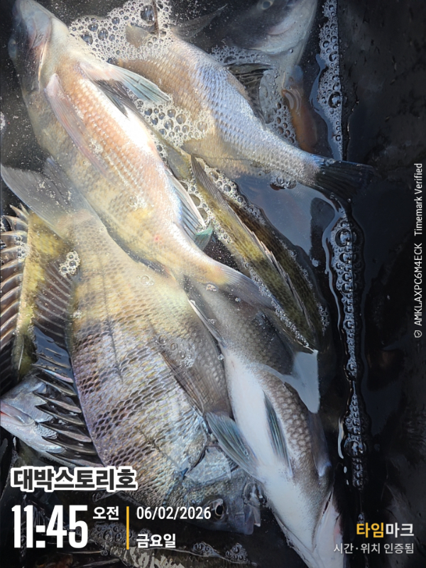 2026-02-06 11.45.19__(대박스토리호).jpg