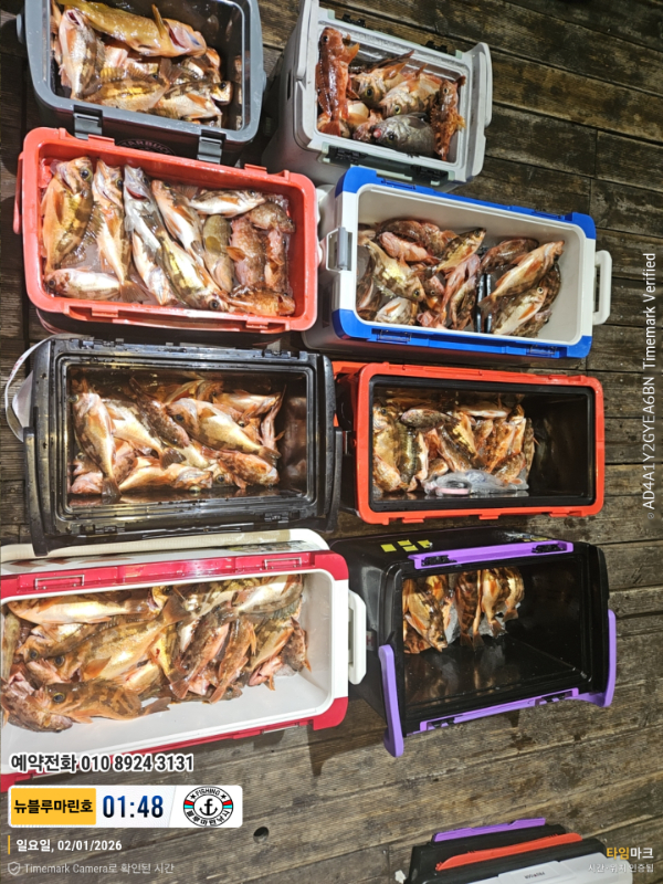 2026-02-01 01.48.40__(제목-뉴블루마린호)_(예약전화 010 8924 3131).jpg