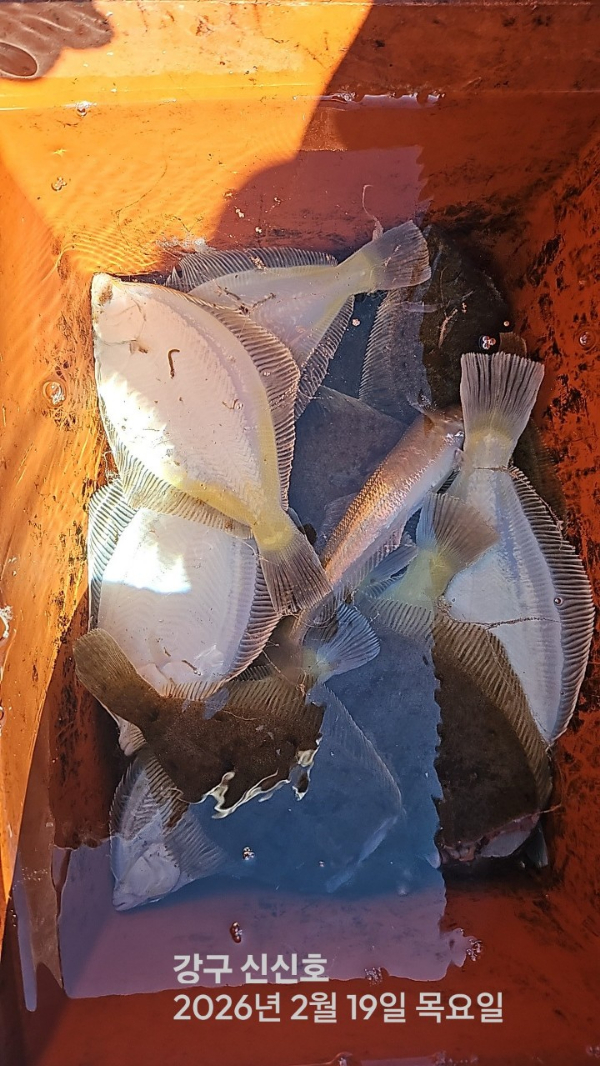 신신낚시 강구점 신신호_사진_20260219_11.jpg