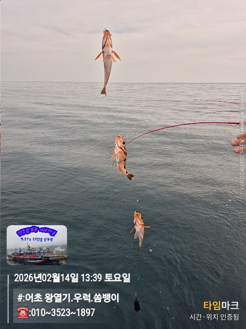 2026-02-14 13.39.26__(#-어초 왕열기.우럭.쏨뱅이)_(-010~3523~1897).jpg