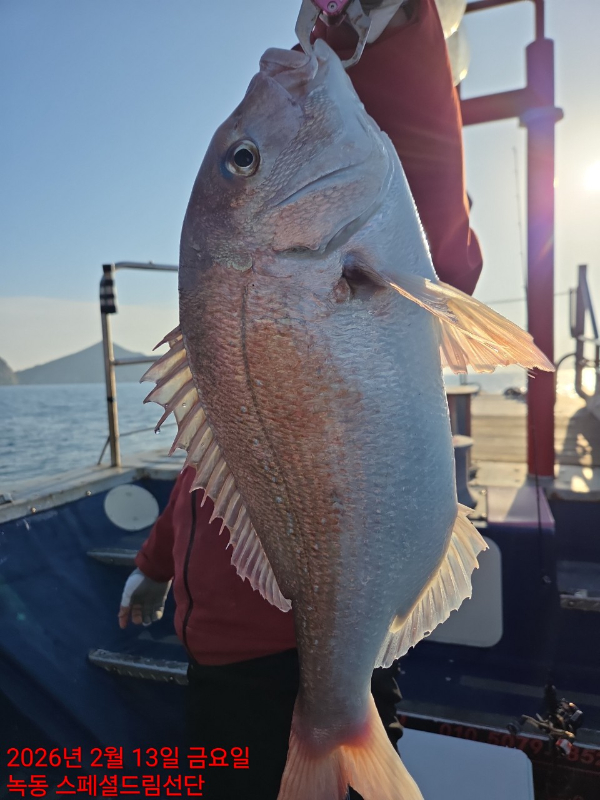 쎄븐피싱클럽(선상 버스출조전문)_사진_20260215_74.jpg