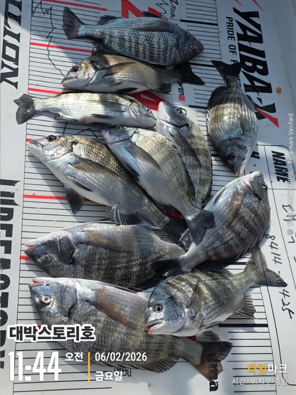 2026-02-06 11.44.16__(대박스토리호).jpg