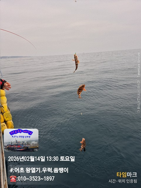 2026-02-14 13.30.56__(#-어초 왕열기.우럭.쏨뱅이)_(-010~3523~1897).jpg