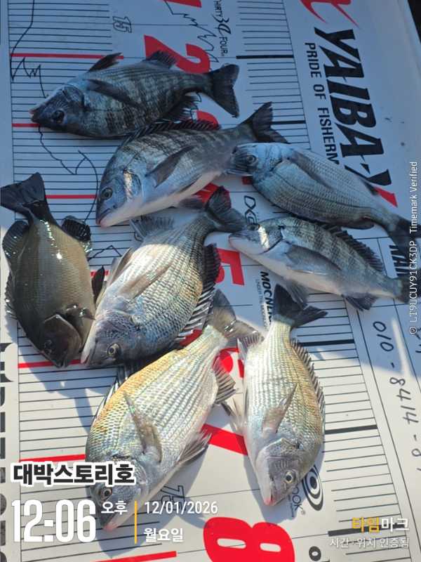 2026-01-12 12.06.46__(대박스토리호).jpg