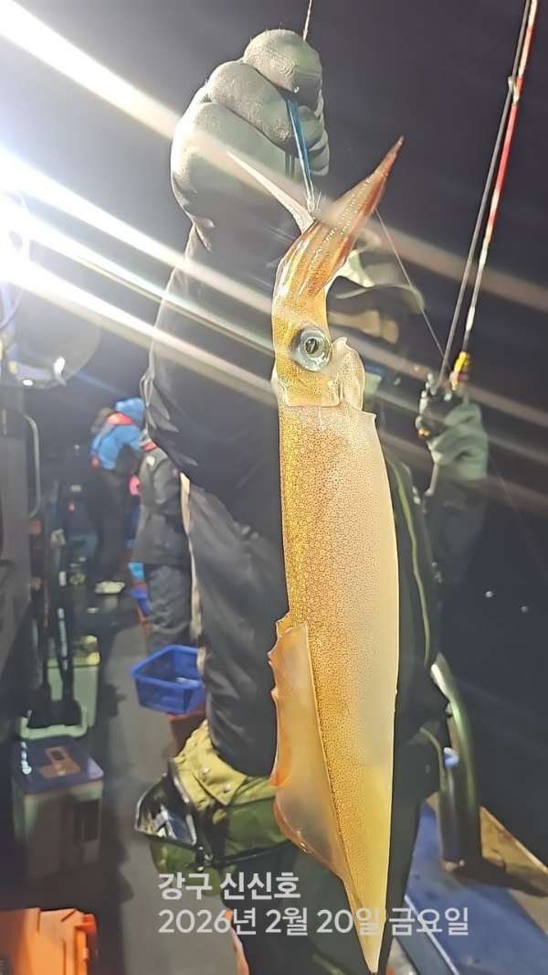 신신낚시 강구점 신신호_사진_20260221_3.jpg