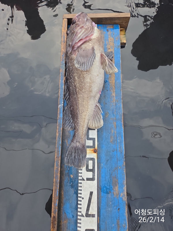 최강피싱 063.463.0800_사진_20260215_2.jpg