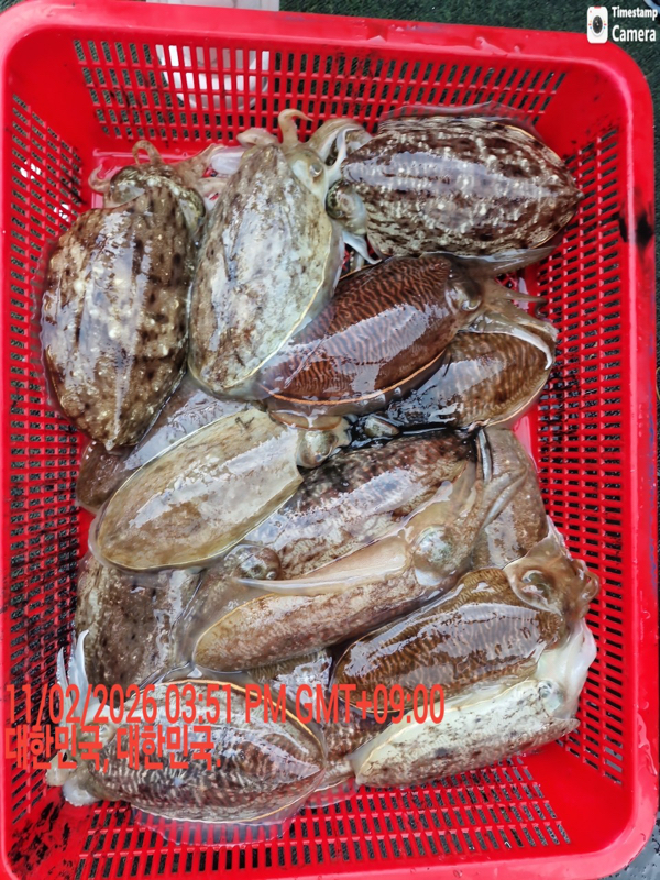 제주갈치낚시 화원호_사진_20260212_16.jpeg