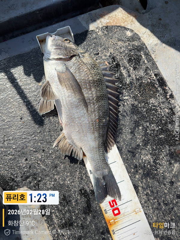 2026-02-28 13.23.06_(제목-퓨리호).jpeg