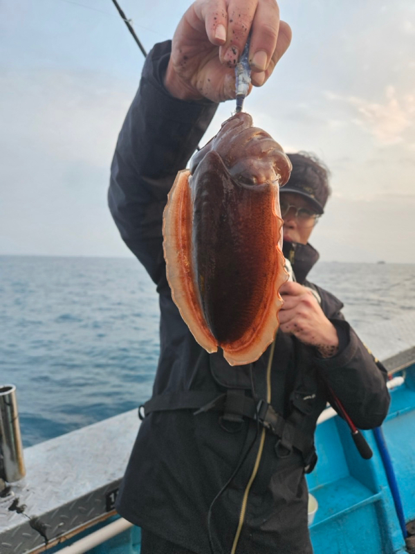 제주 쏘니호_사진_20260205_11.jpg