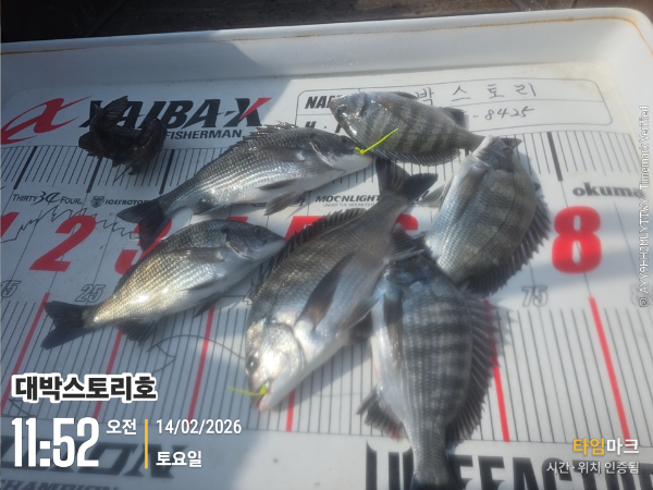 2026-02-14 11.52.34__(대박스토리호).jpg