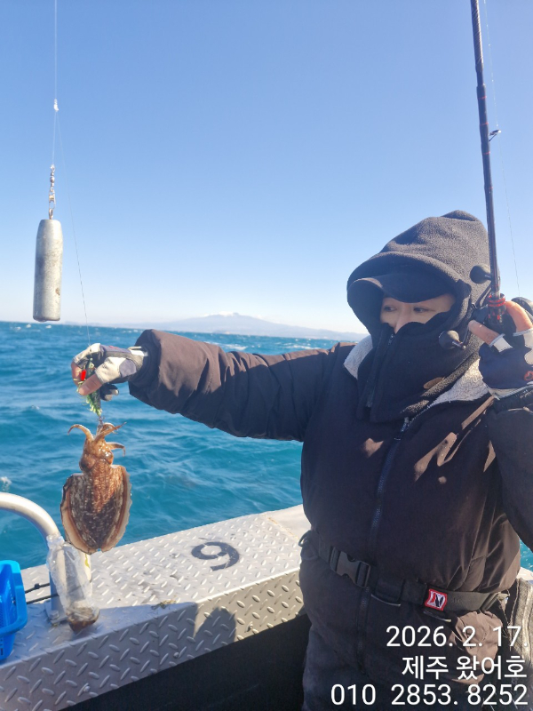 제주왔어호_사진_20260218_22.jpg