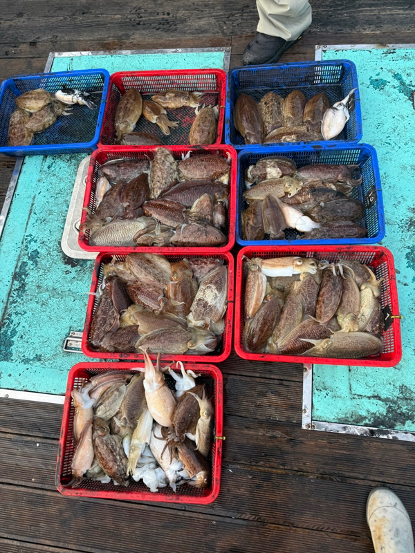 제주 쏘니호_사진_20260210_2.jpg