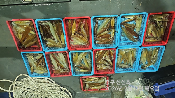 신신낚시 강구점 신신호_사진_20260213_3.jpg
