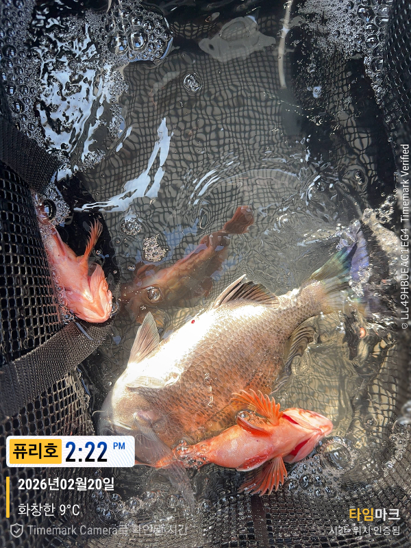 2026-02-20 14.22.51_(제목-퓨리호).jpeg