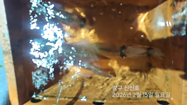 신신낚시 강구점 신신호_사진_20260216_20.jpg