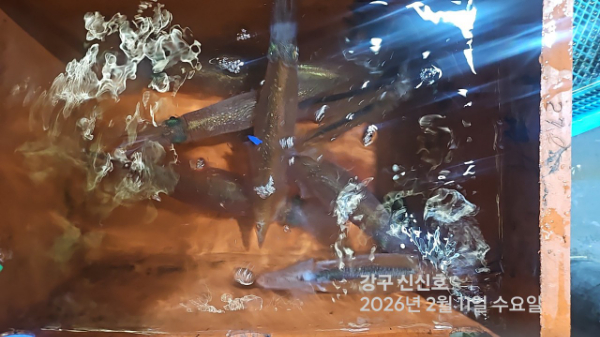 신신낚시 강구점 신신호_사진_20260212_3.jpg