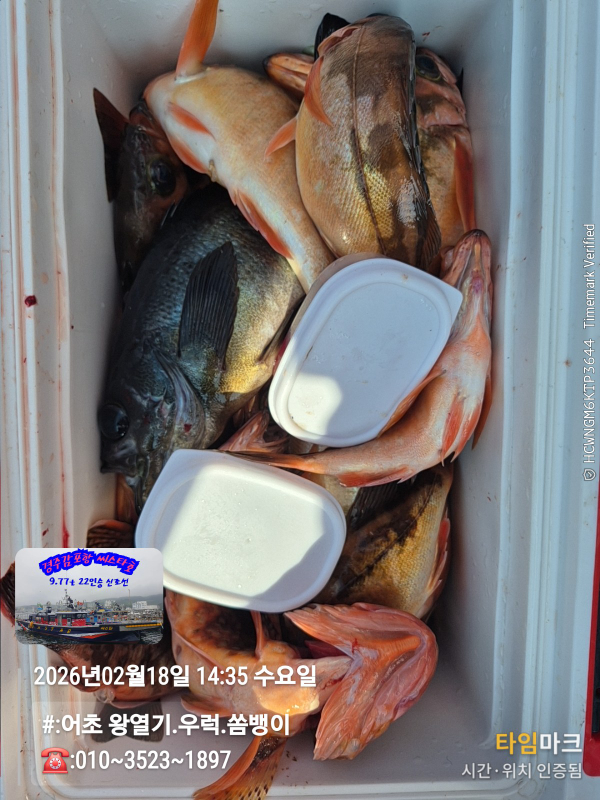 2026-02-18 14.35.52__(#-어초 왕열기.우럭.쏨뱅이)_(-010~3523~1897).jpg