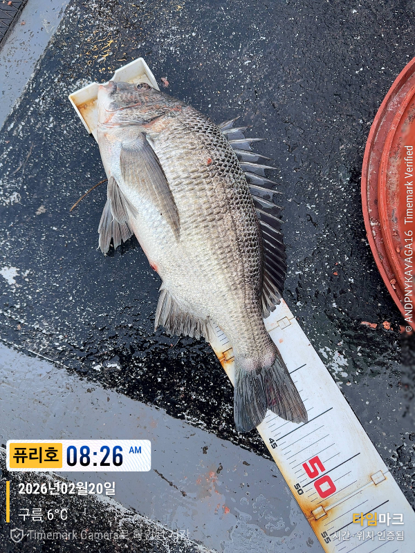2026-02-20 08.26.59_(제목-퓨리호).jpeg