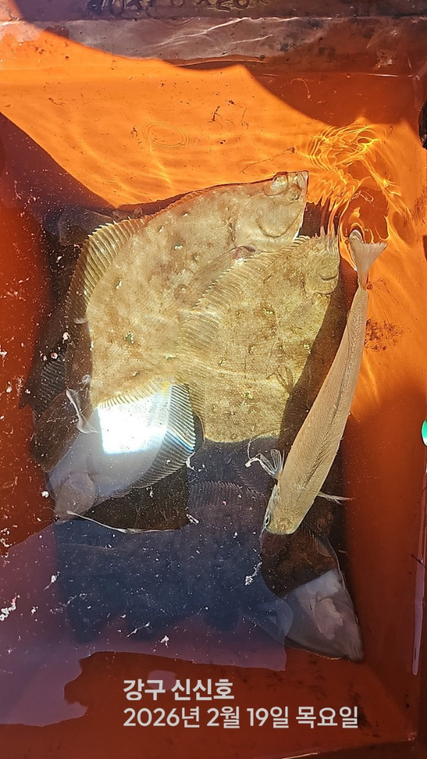 신신낚시 강구점 신신호_사진_20260219_10.jpg