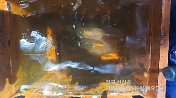 신신낚시 강구점 신신호_사진_20260220_8.jpg