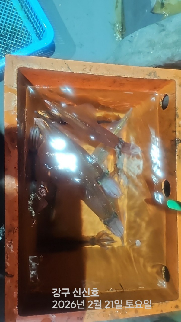 신신낚시 강구점 신신호_사진_20260222_5.jpg