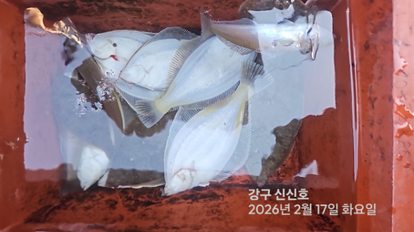 신신낚시 강구점 신신호_사진_20260217_17.jpg
