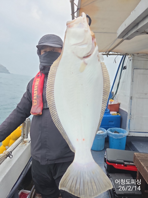 최강피싱 063.463.0800_사진_20260215_5.jpg