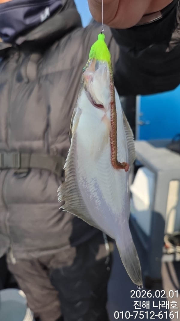 나래피싱(문어,낙지,갈치,호래기,감성돔)_사진_20260202_11.jpg